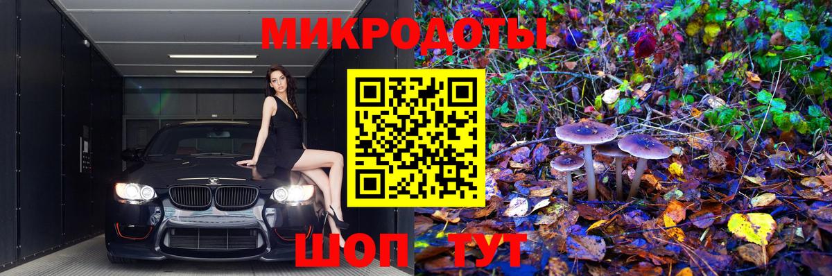 Псилоцибиновые грибы GOLDEN TEACHER  наркота  Псков  Вход с VPN 