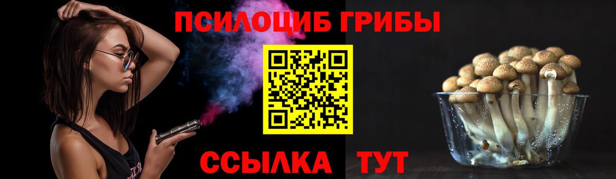 Галлюциногенные грибы мухоморы Псков