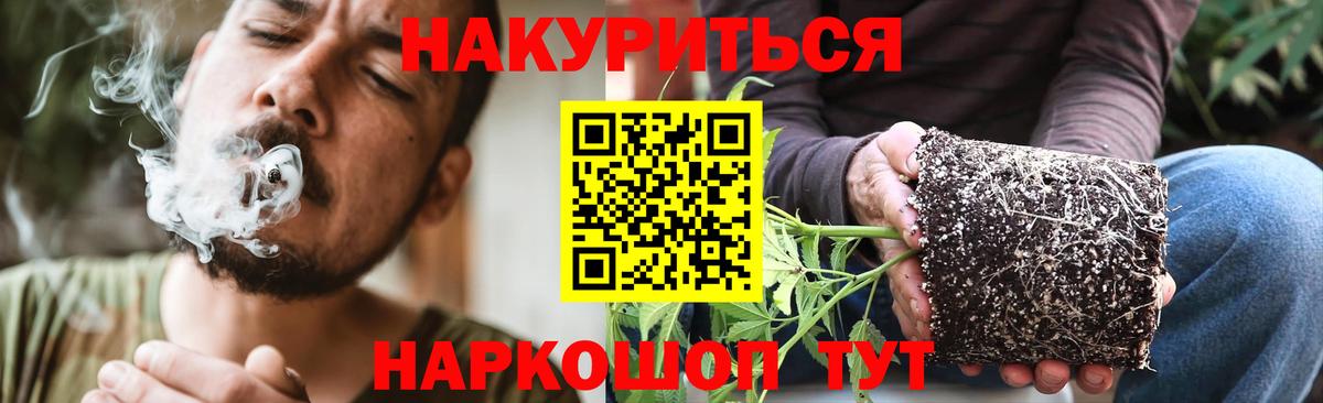 Марихуана Bruce Banner  Вход с VPN  Марихуана OG Kush  Псков  Конопля Bruce Banner 